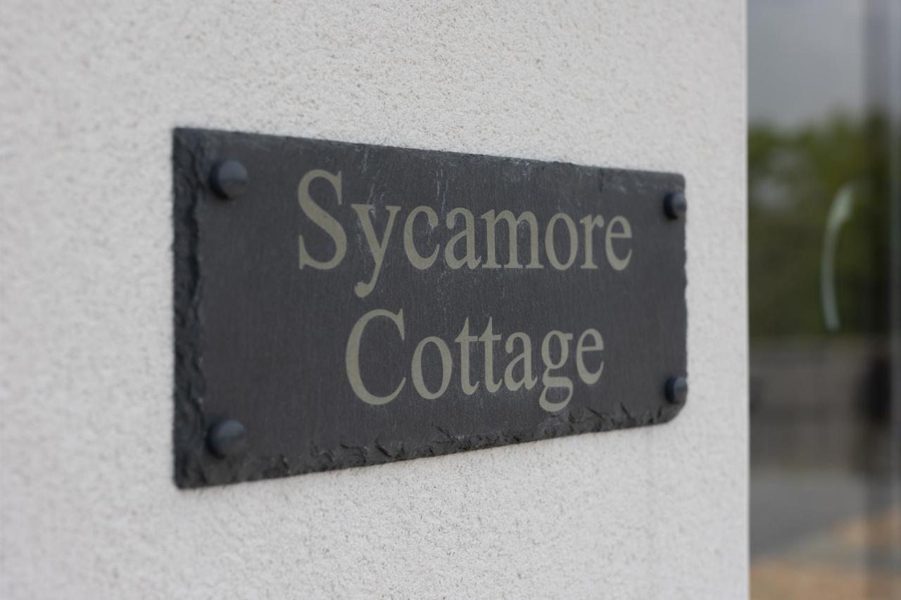 Sycamore Cottage Tenby Kültér fotó